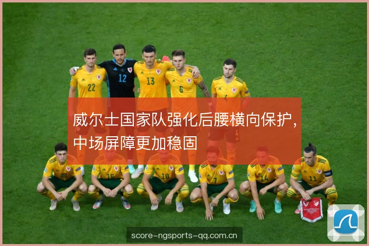 威尔士国家队强化后腰横向保护,中场屏障更加稳固 威尔士国家队强化后腰横向保护,中场屏障更加稳固